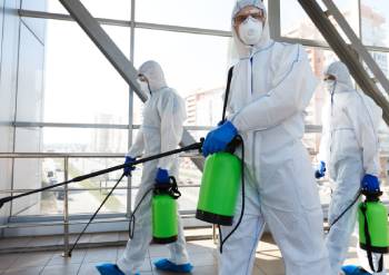 Pest & Disinfection Services